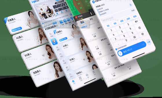 卡片2展示内容判断要点